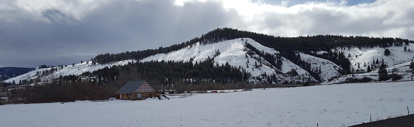 cabin in a snowy landscape